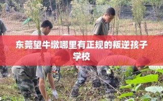 东莞望牛墩哪里有正规的叛逆孩子学校