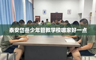 泰安岱岳少年管教学校哪家好一点