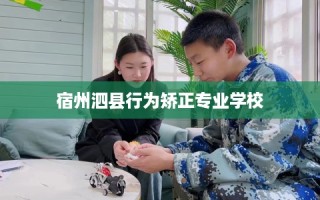 宿州泗县行为矫正专业学校