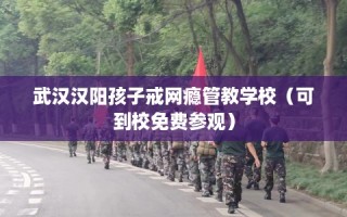 武汉汉阳孩子戒网瘾管教学校（可到校免费参观）