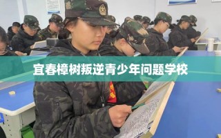 宜春樟树叛逆青少年问题学校