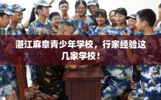 湛江麻章青少年学校，行家经验这几家学校！