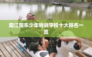 阳江阳东少年特训学校十大排名一览