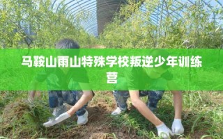 马鞍山雨山特殊学校叛逆少年训练营