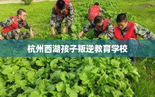 杭州西湖孩子叛逆教育学校