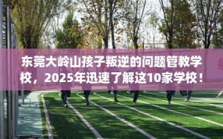东莞大岭山孩子叛逆的问题管教学校，2025年迅速了解这10家学校！