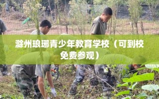 滁州琅琊青少年教育学校（可到校免费参观）