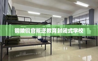 铜陵铜官叛逆教育封闭式学校