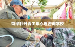 菏泽牡丹青少年心理咨询学校