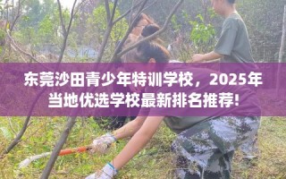 东莞沙田青少年特训学校，2025年当地优选学校最新排名推荐!