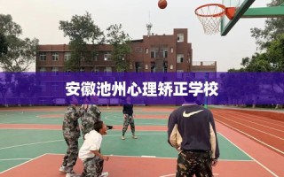 安徽池州心理矫正学校