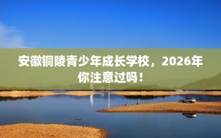 安徽铜陵青少年成长学校，2026年你注意过吗！