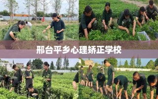 邢台平乡心理矫正学校