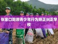 张家口阳原青少年行为矫正纠正学校