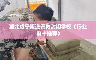 湖北咸宁叛逆管教封闭学校（行业前十推荐）