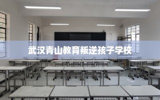 武汉青山教育叛逆孩子学校
