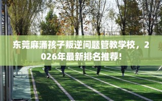 东莞麻涌孩子叛逆问题管教学校，2026年最新排名推荐!