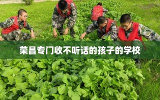 荣昌专门收不听话的孩子的学校