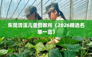东莞清溪儿童管教所（2026精选名单一览）