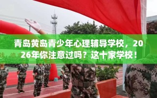 青岛黄岛青少年心理辅导学校，2026年你注意过吗？这十家学校！