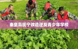 秦皇岛抚宁改造逆反青少年学校