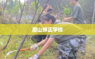 眉山矫正学校