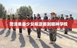 菏泽单县少女叛逆要到哪种学校