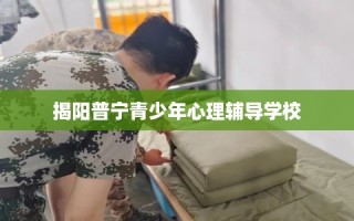 揭阳普宁青少年心理辅导学校