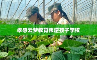 孝感云梦教育叛逆孩子学校