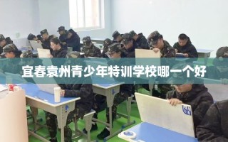 宜春袁州青少年特训学校哪一个好