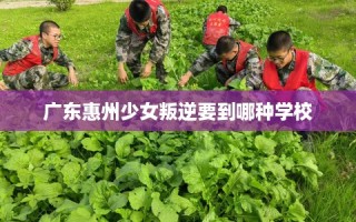 广东惠州少女叛逆要到哪种学校