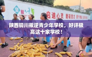 陕西铜川叛逆青少年学校，好评极高这十家学校！