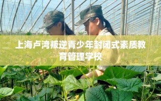 上海卢湾叛逆青少年封闭式素质教育管理学校