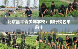 北京昌平青少年学校：排行榜名单前十