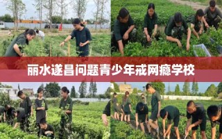 丽水遂昌问题青少年戒网瘾学校