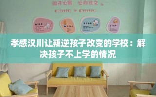 孝感汉川让叛逆孩子改变的学校：解决孩子不上学的情况