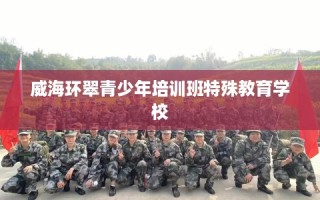 威海环翠青少年培训班特殊教育学校