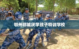 鄂州鄂城厌学孩子特训学校