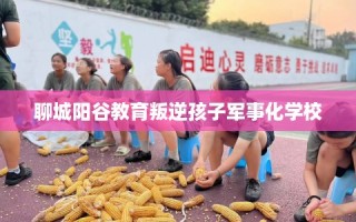 聊城阳谷教育叛逆孩子军事化学校