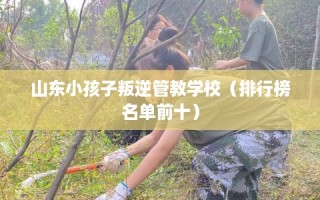 山东小孩子叛逆管教学校（排行榜名单前十）
