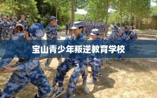 宝山青少年叛逆教育学校