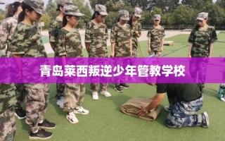 青岛莱西叛逆少年管教学校