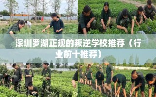 深圳罗湖正规的叛逆学校推荐（行业前十推荐）