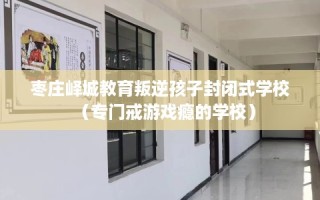 枣庄峄城教育叛逆孩子封闭式学校（专门戒游戏瘾的学校）