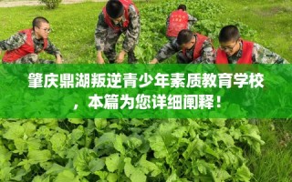 肇庆鼎湖叛逆青少年素质教育学校，本篇为您详细阐释！
