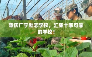 肇庆广宁励志学校，汇集十家可靠的学校！