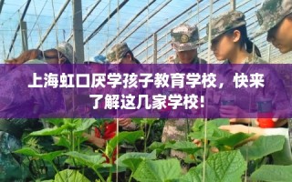 上海虹口厌学孩子教育学校，快来了解这几家学校!