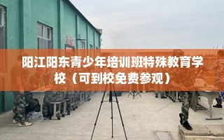 阳江阳东青少年培训班特殊教育学校（可到校免费参观）