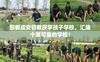 邯郸成安管教厌学孩子学校，汇集十家可靠的学校！