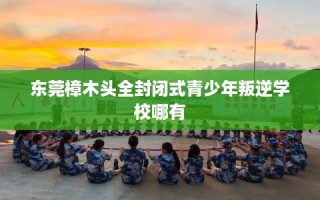 东莞樟木头全封闭式青少年叛逆学校哪有